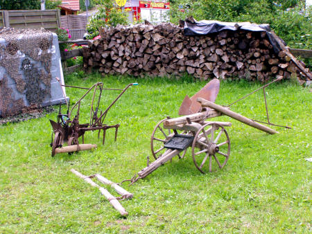 Sonntag (59)